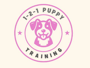 1-to-1 Puppy Training
