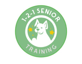 1-2-1 Senior Training
