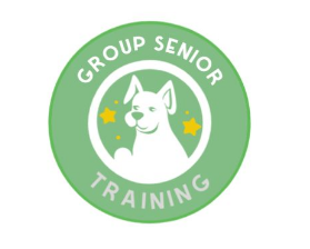 Group Senior Training